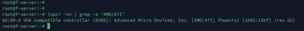 Terminal output showing PCI device information