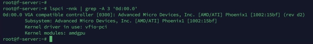 Terminal output showing details of a PCI device