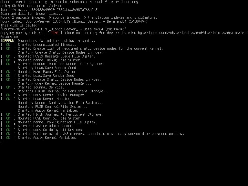 Terminal screen displaying system startup logs and service statuses.