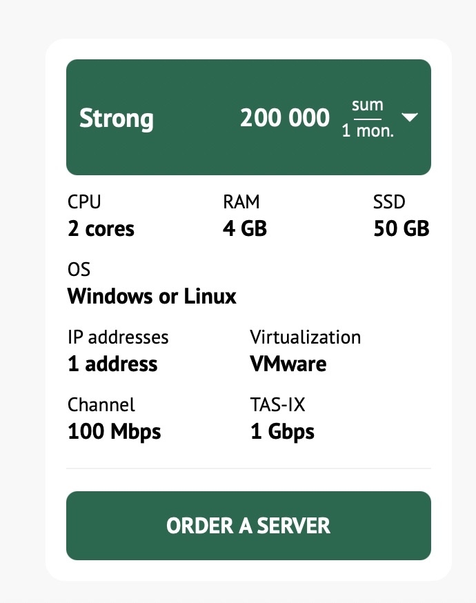 Server hosting plan details showing Strong package with 2 cores CPU, 4 GB RAM, 50 GB SSD, Windows or Linux OS, 1 IP address, VMware virtualization, 100 Mbps channel, and 1 Gbps TAS-IX